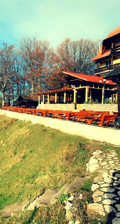 Cabana Trei Brazi Predeal Extérieur photo
