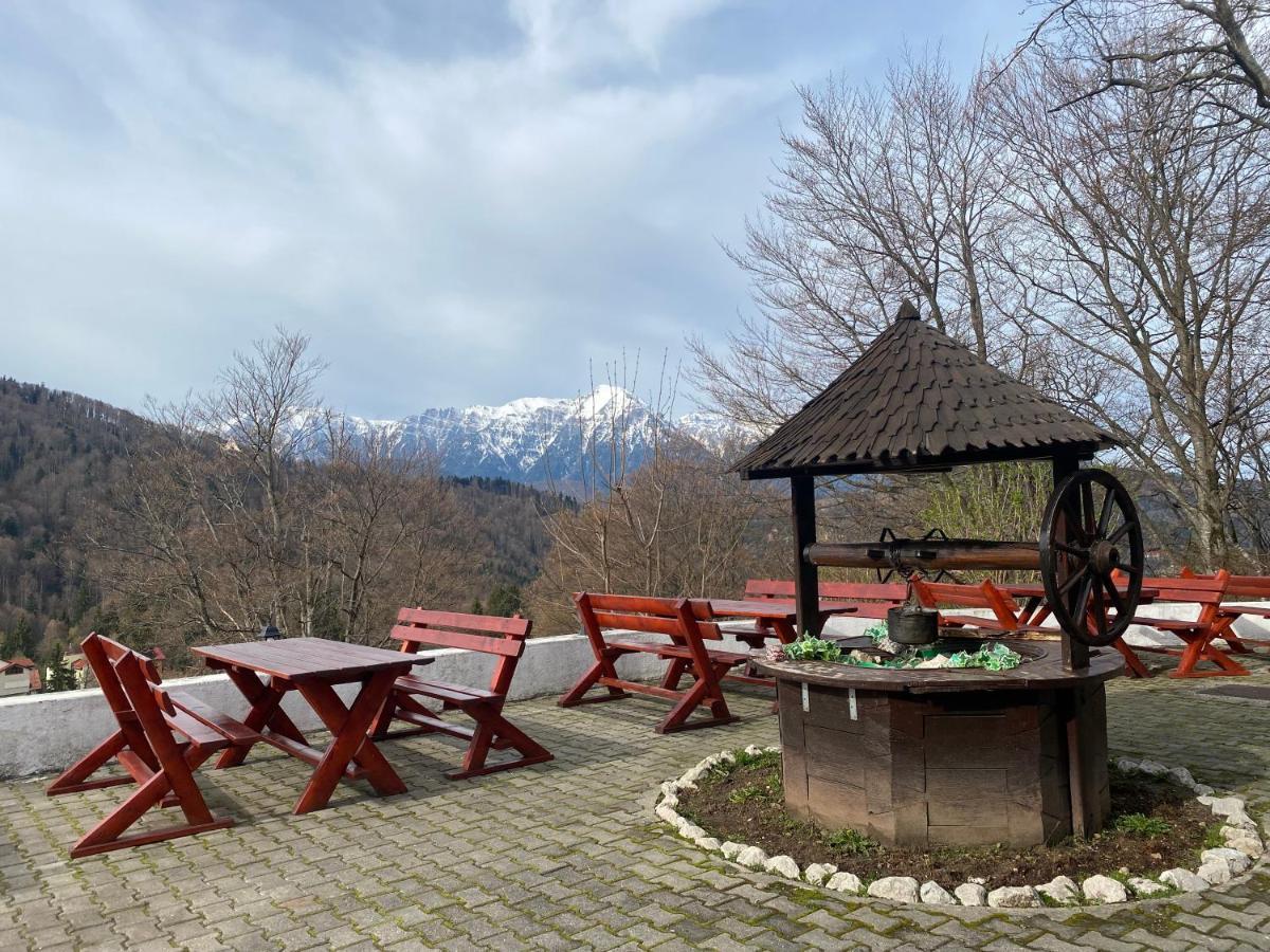 Cabana Trei Brazi Predeal Extérieur photo